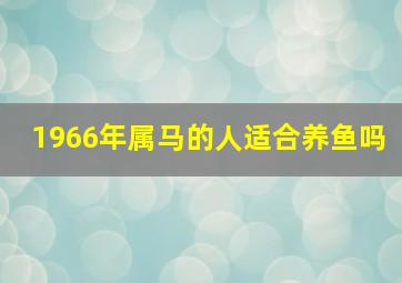 1966年属马的人适合养鱼吗