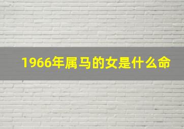 1966年属马的女是什么命