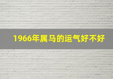 1966年属马的运气好不好