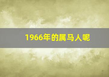 1966年的属马人呢