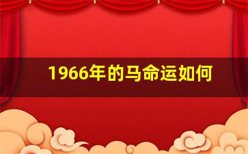 1966年的马命运如何