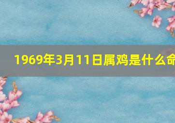 1969年3月11日属鸡是什么命