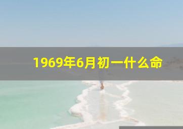 1969年6月初一什么命