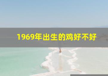 1969年出生的鸡好不好