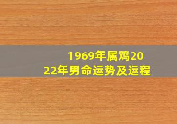 1969年属鸡2022年男命运势及运程