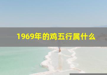 1969年的鸡五行属什么