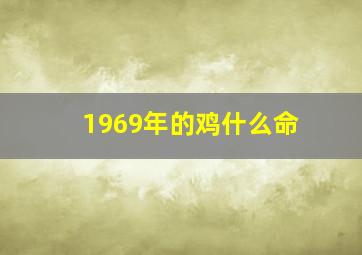 1969年的鸡什么命