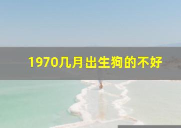 1970几月出生狗的不好