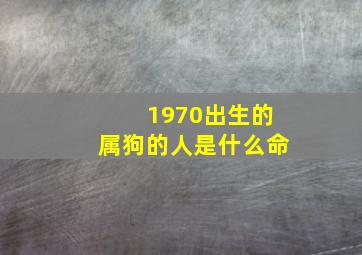 1970出生的属狗的人是什么命