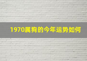 1970属狗的今年运势如何