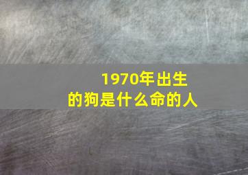 1970年出生的狗是什么命的人