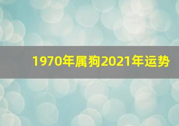 1970年属狗2021年运势