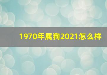 1970年属狗2021怎么样