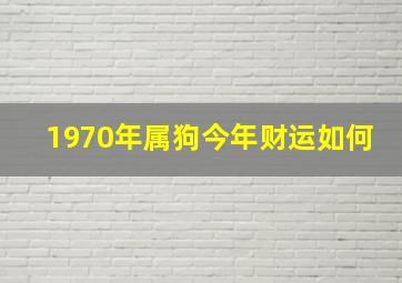 1970年属狗今年财运如何