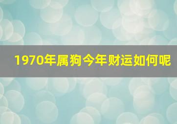 1970年属狗今年财运如何呢