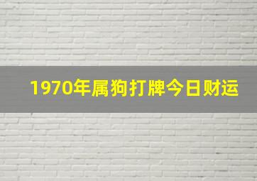 1970年属狗打牌今日财运