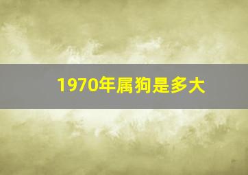 1970年属狗是多大