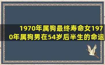 1970年属狗最终寿命女1970年属狗男在54岁后半生的命运