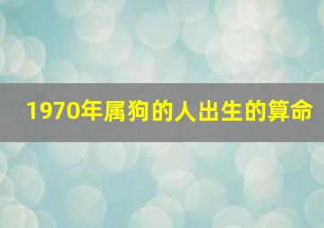 1970年属狗的人出生的算命