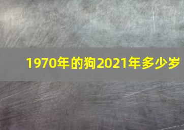 1970年的狗2021年多少岁