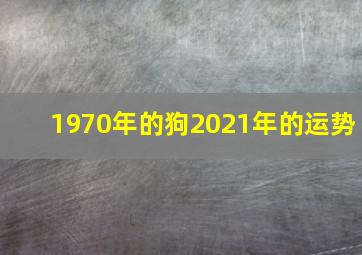 1970年的狗2021年的运势