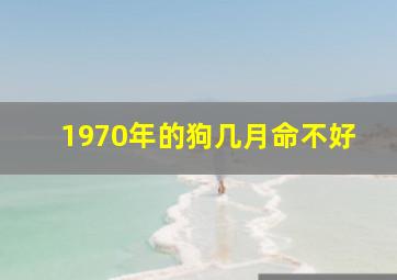 1970年的狗几月命不好