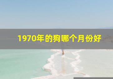 1970年的狗哪个月份好