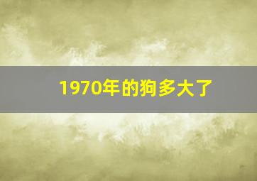 1970年的狗多大了