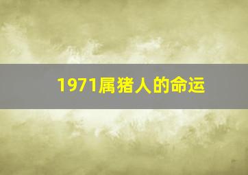 1971属猪人的命运