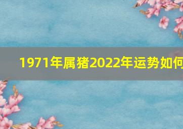 1971年属猪2022年运势如何