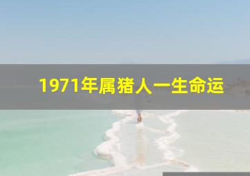 1971年属猪人一生命运