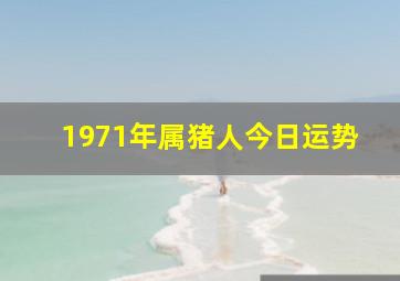 1971年属猪人今日运势