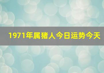 1971年属猪人今日运势今天