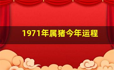 1971年属猪今年运程