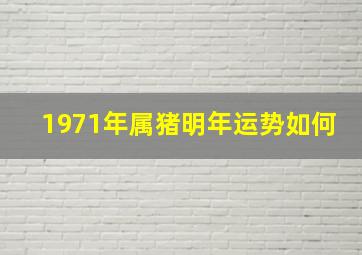 1971年属猪明年运势如何