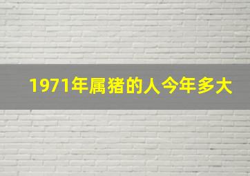 1971年属猪的人今年多大