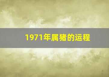 1971年属猪的运程