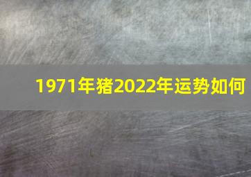 1971年猪2022年运势如何