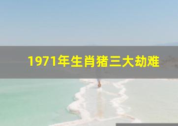 1971年生肖猪三大劫难