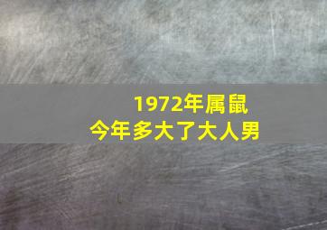 1972年属鼠今年多大了大人男