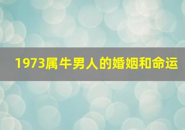 1973属牛男人的婚姻和命运