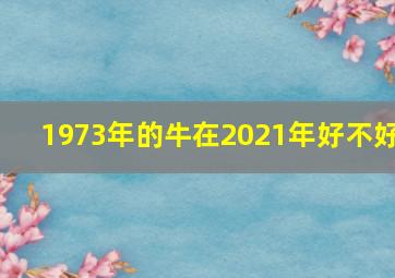 1973年的牛在2021年好不好