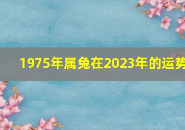 1975年属兔在2023年的运势