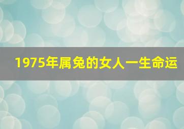 1975年属兔的女人一生命运