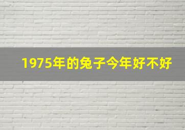 1975年的兔子今年好不好