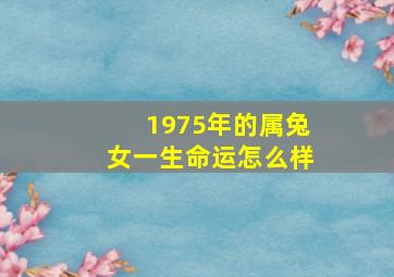 1975年的属兔女一生命运怎么样