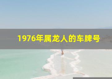 1976年属龙人的车牌号