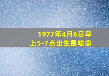 1977年4月6日早上5-7点出生是啥命