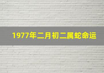 1977年二月初二属蛇命运