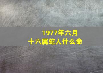 1977年六月十六属蛇人什么命